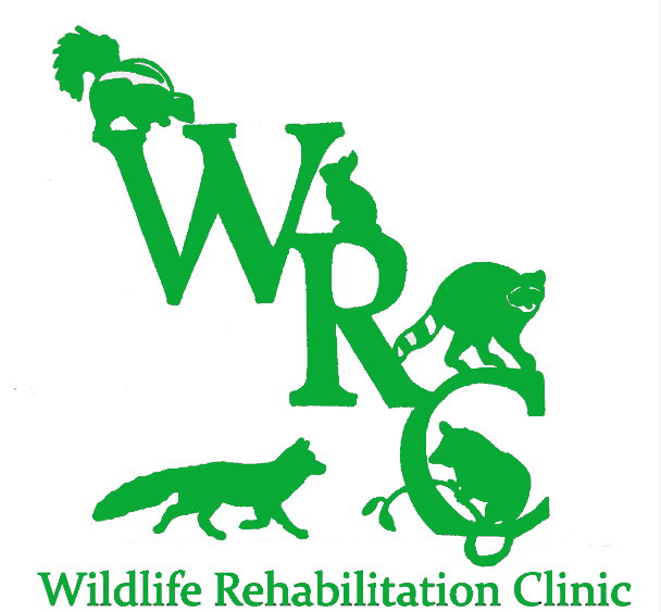 Fundraiser image