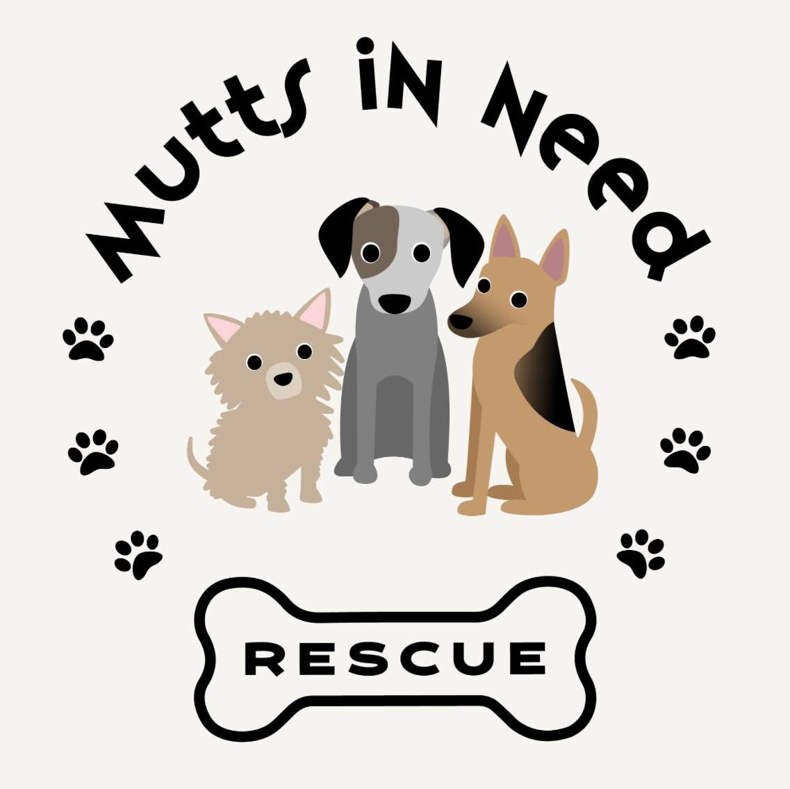 Fundraiser image